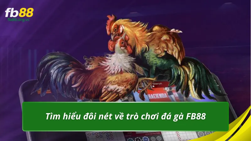 Tìm hiểu đôi nét về trò chơi đá gà FB88